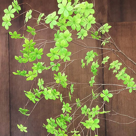 vi設(shè)計(jì)公司有哪些